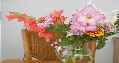 tuintips-kraaij-bloemen-uit-eigen-tuin-plukken-juli-384-x-202